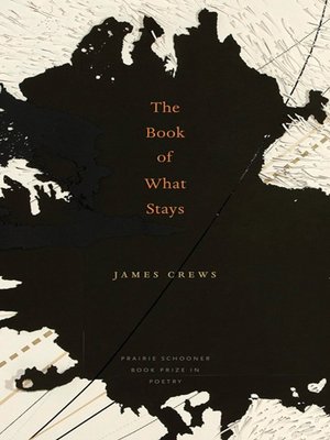 cover image of The Book of What Stays